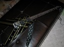 DSCN0011a