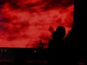DSCN5682
